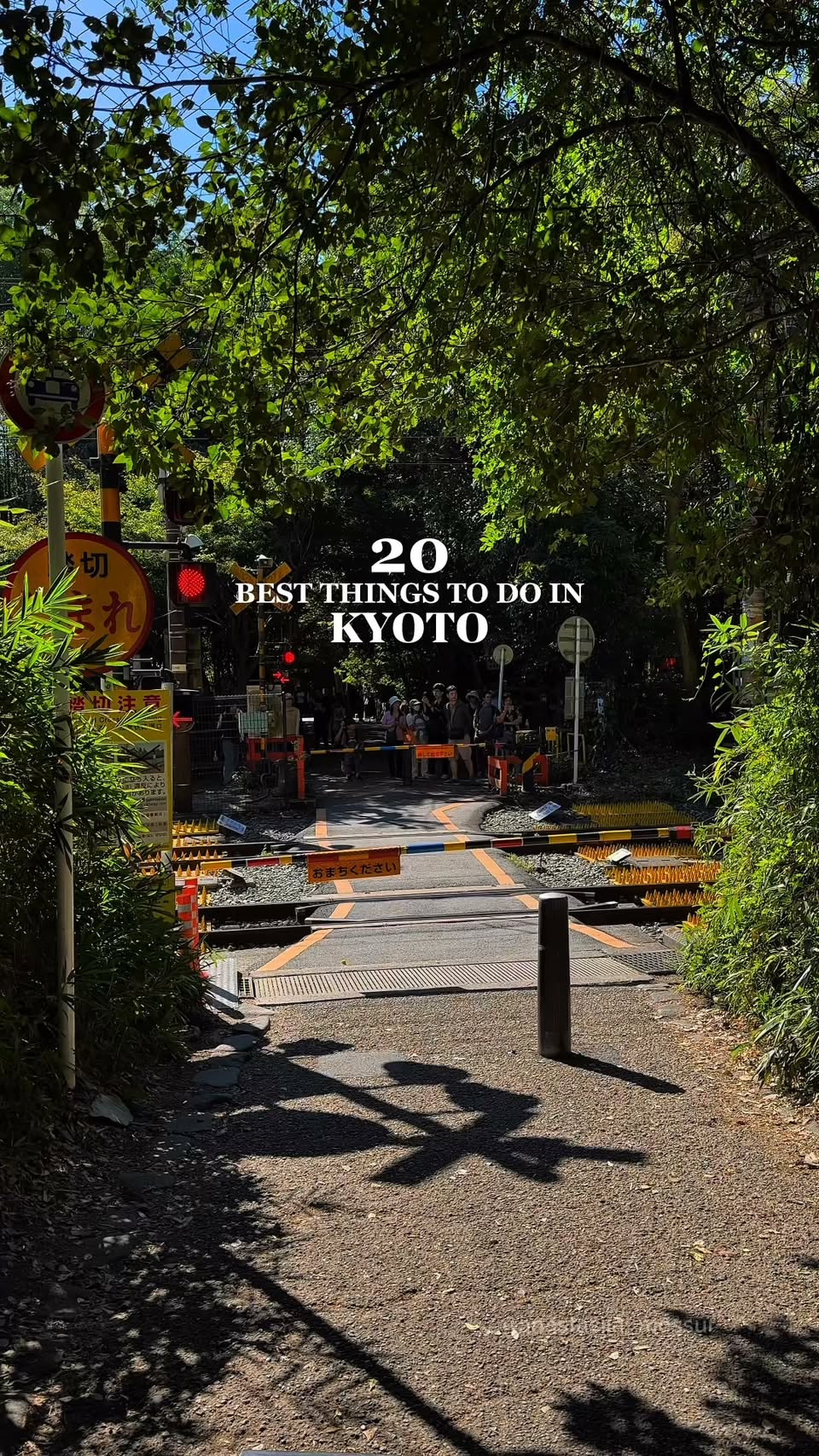Kyoto's Top Attractions and Local Gems