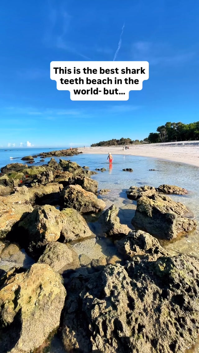 Shark Tooth Beaches Offer Unique Old Florida Charm