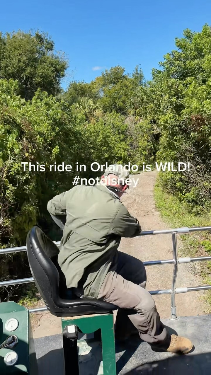 Two Orlando Attractions Feature Alligators