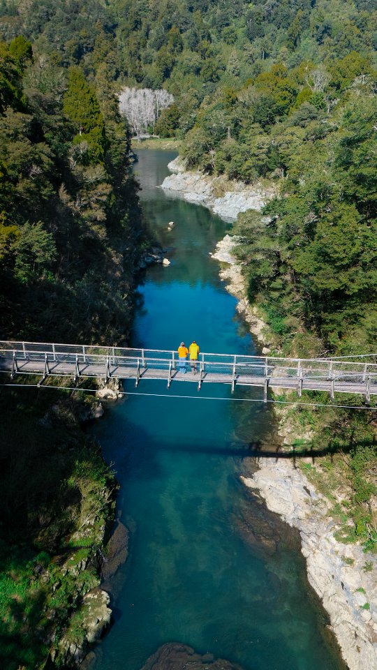 Pelorus Bridge and River Emerald Waters