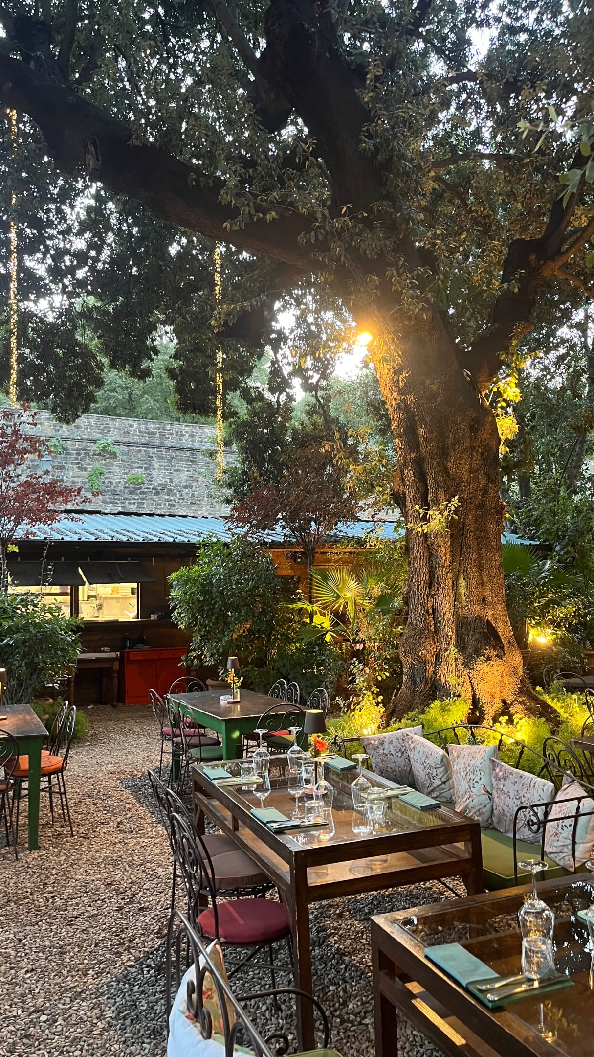 Hidden Florentine Garden For Aperitivo