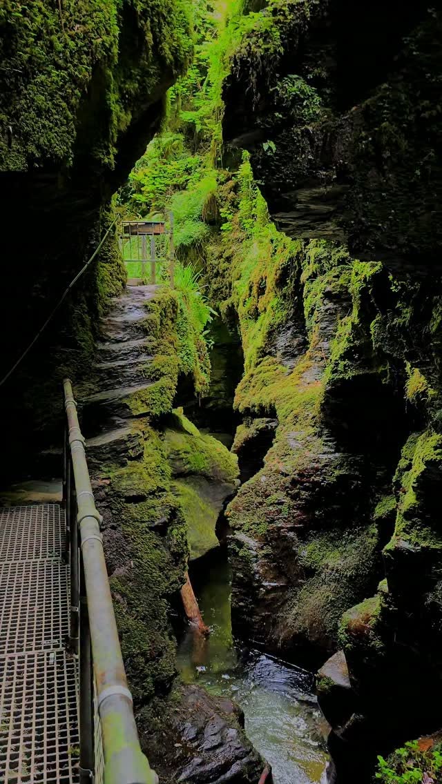 Lydford Gorge: Devon's Tropical Rainforest Gem