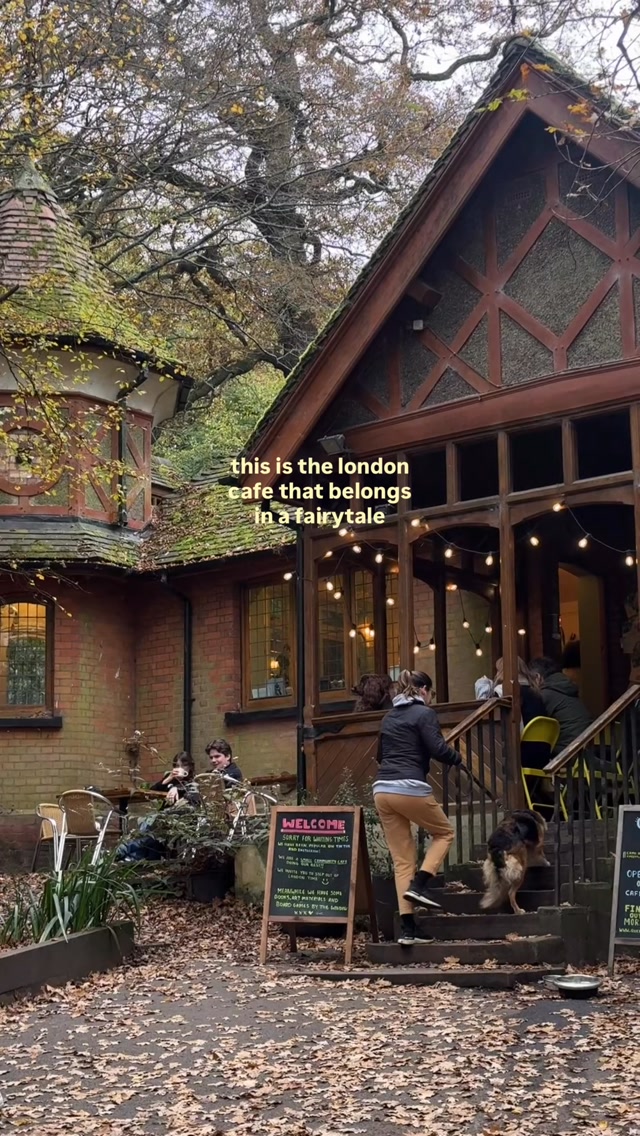Autumn Cafes in Highgate Wood