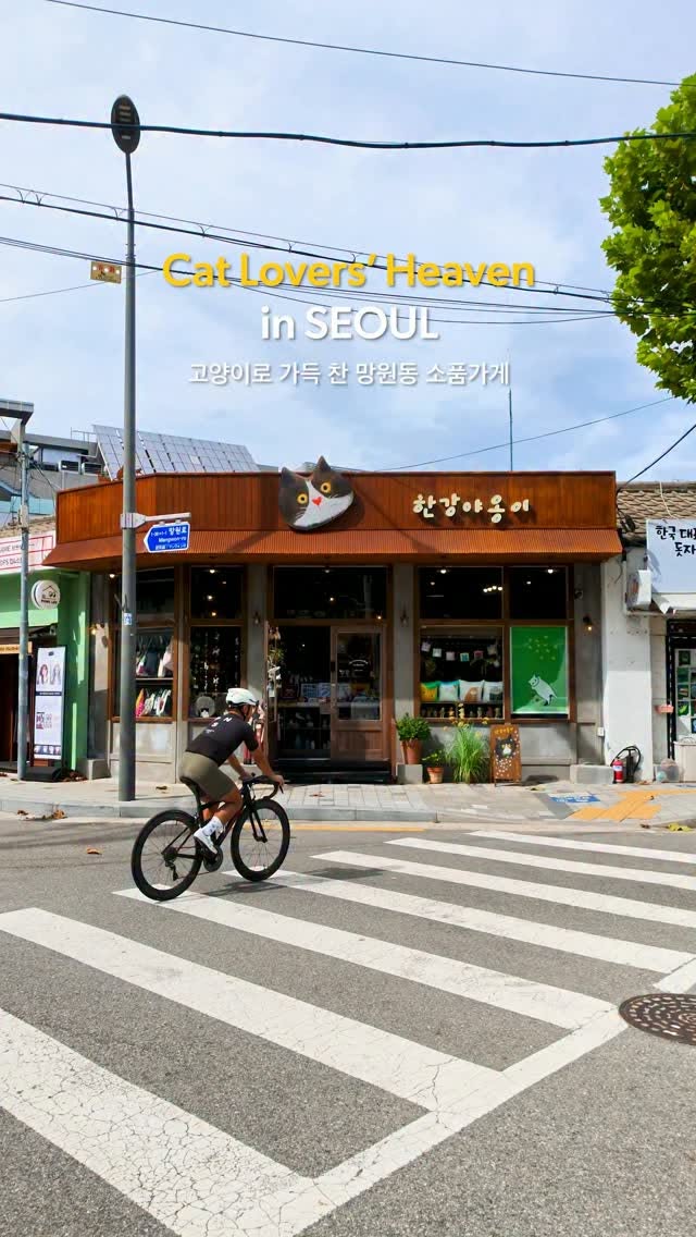 Cat-Themed Shop Near Mangwon Hangang Park