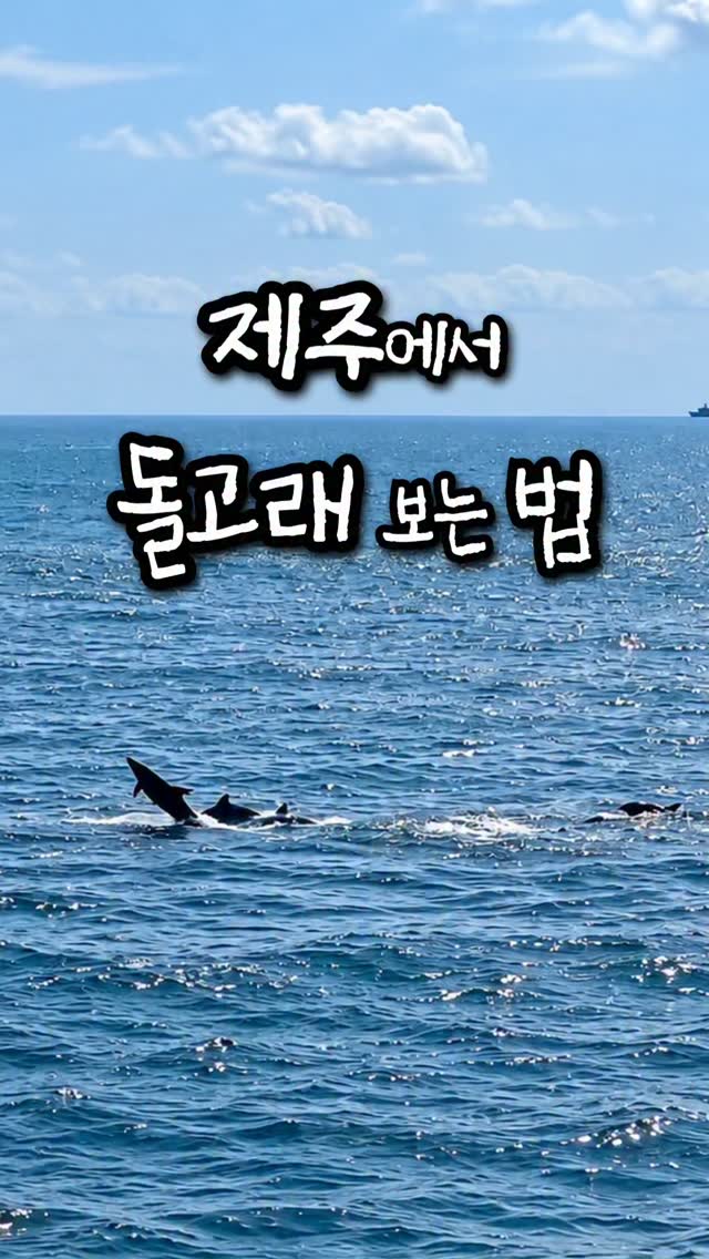 Jeju's Sunset Coastal Road Dolphin Watching Spots