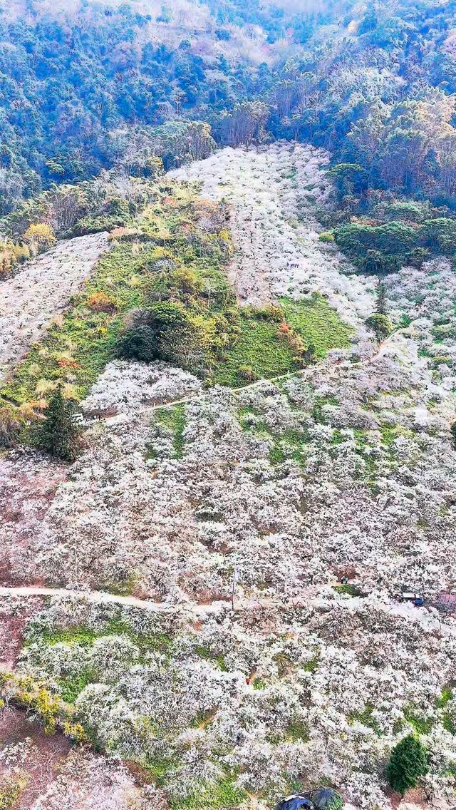 Taiwan's Scenic Spots Across All Seasons