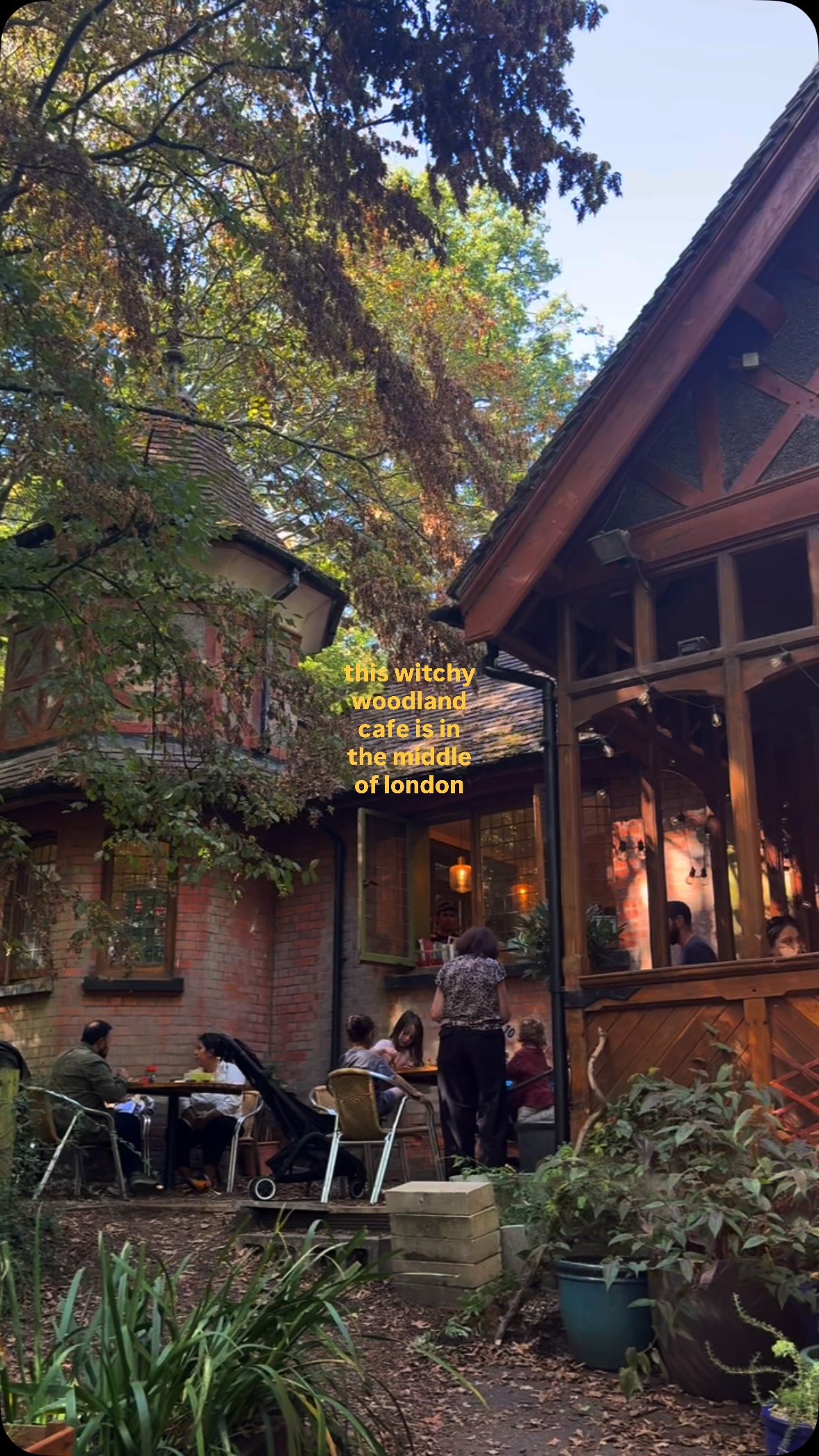 Queen's Wood Cafe Offers Nature and Food