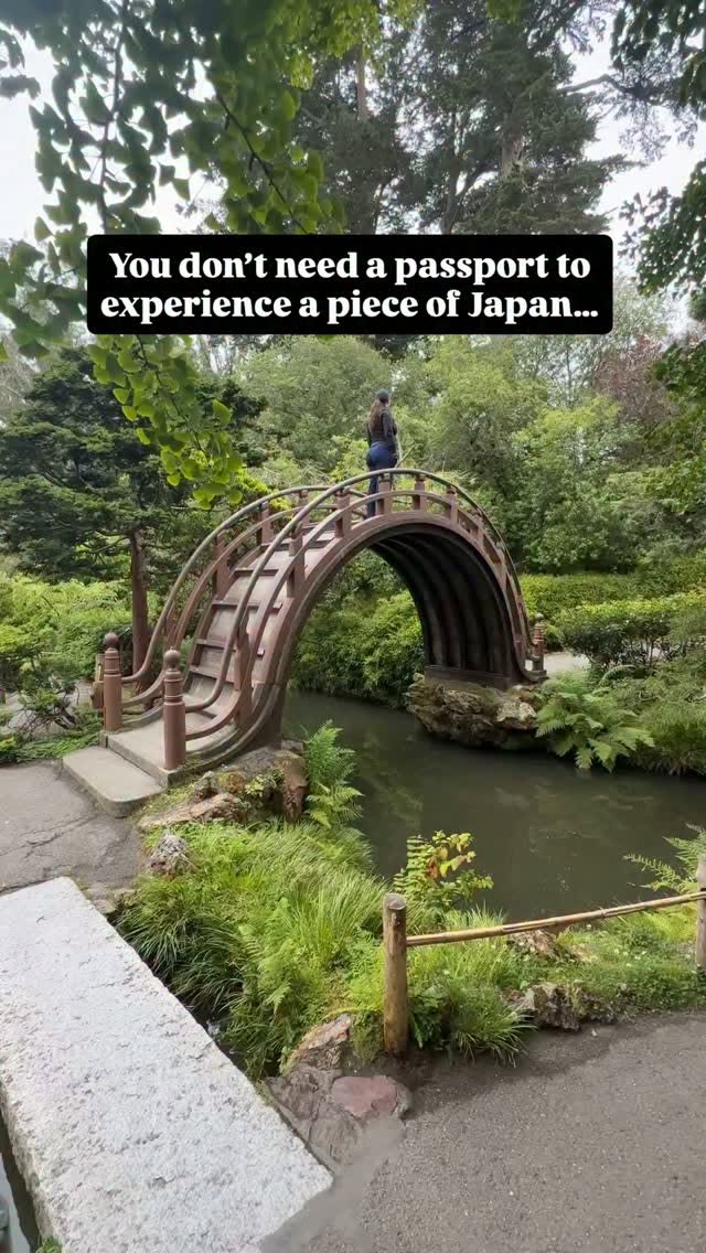Japanese Tea Garden: A Historic Bay Area Oasis