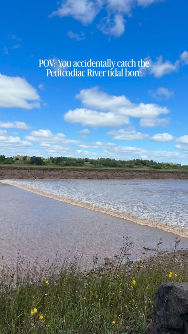 Bay of Fundy Tidal Bore Experience