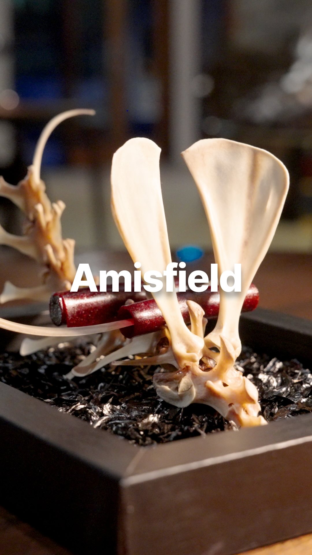 Amisfield: An Extraordinary Winery Dining Destination