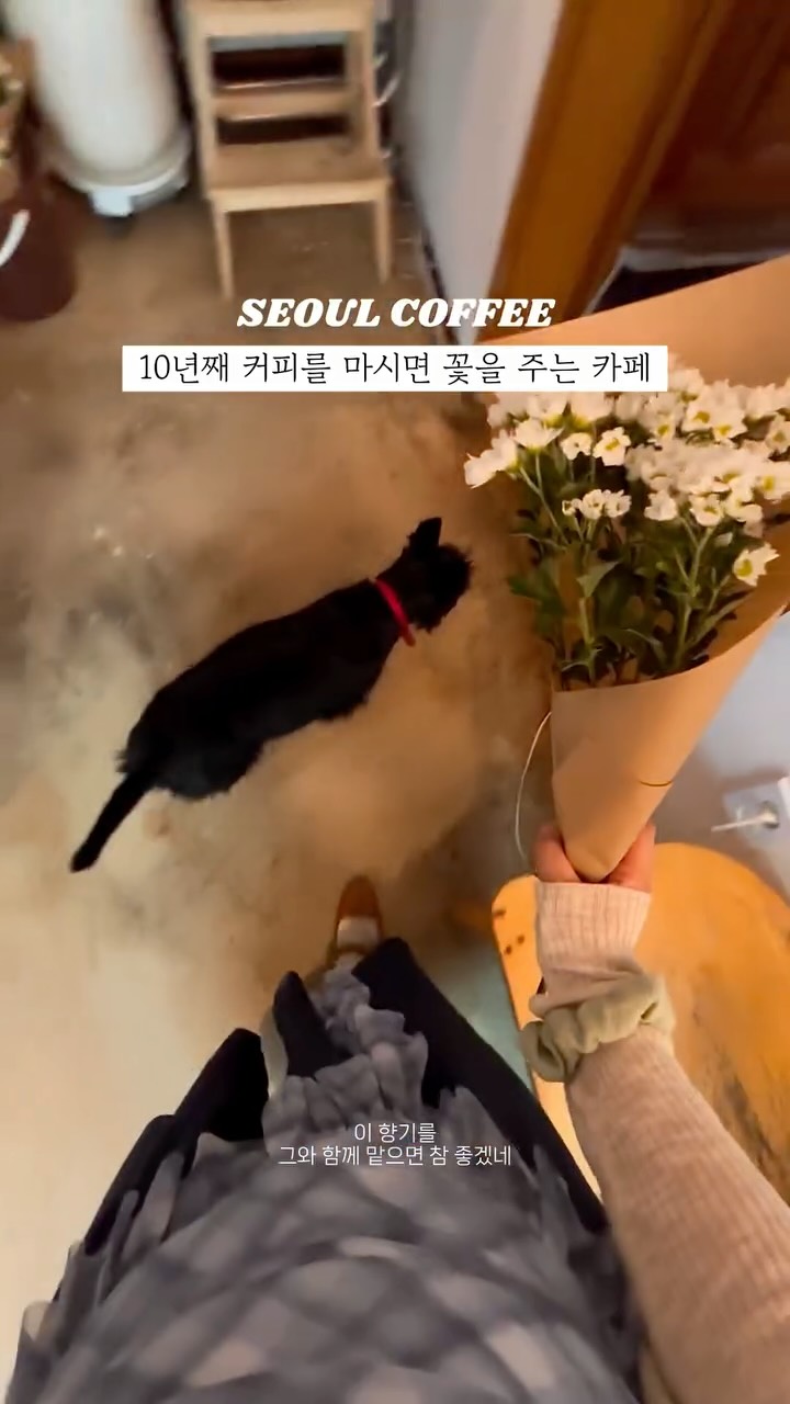 Seoul Cafe Saru's Decade-Long Flower Tradition