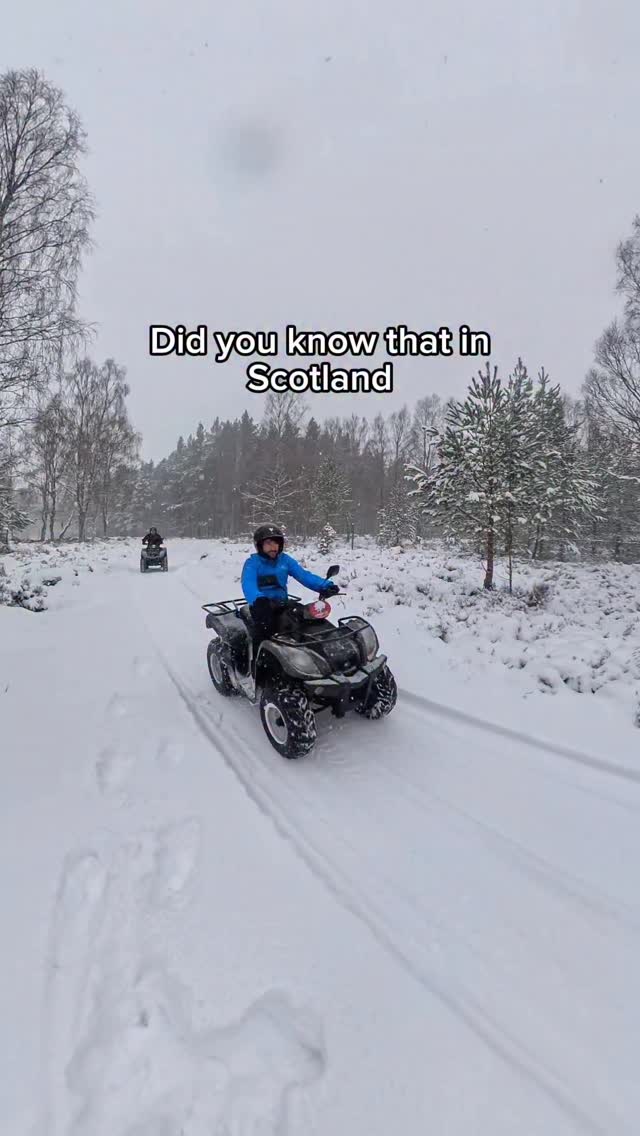 Snowy Forest Adventures at Rothiemurchus Estate