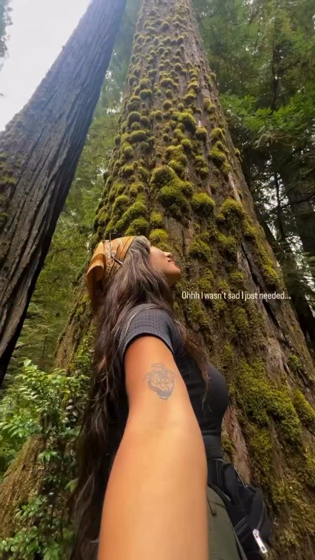 1 Parks in California