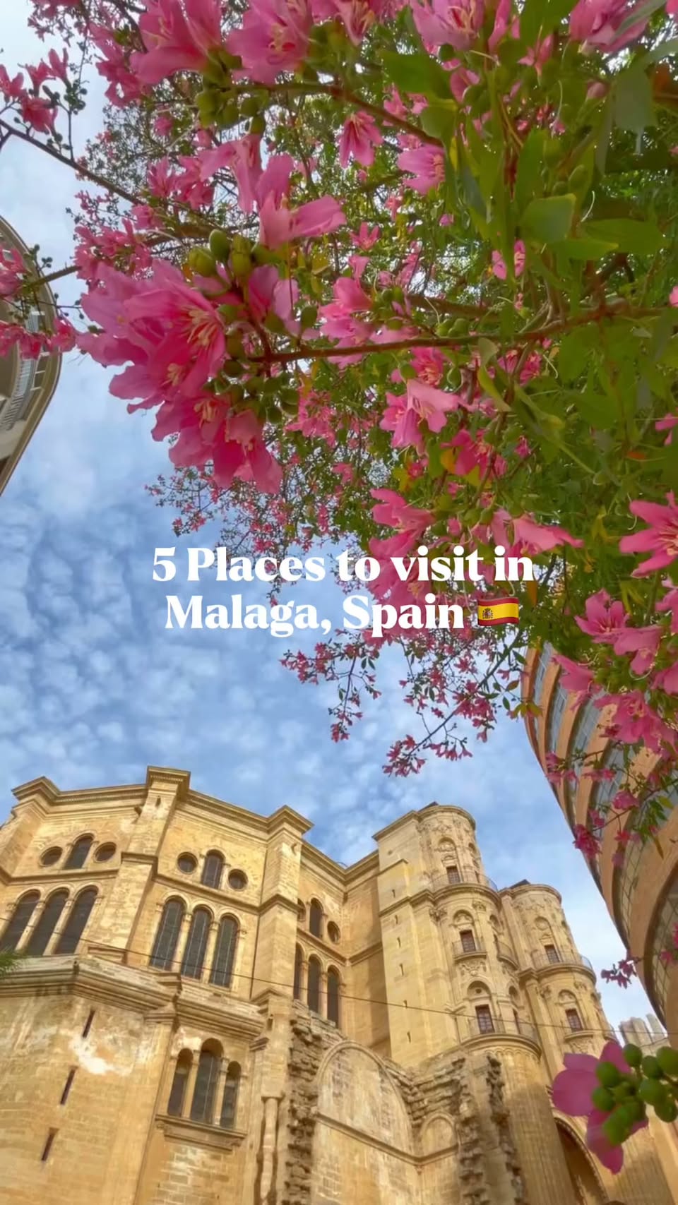Málaga's Roman Theater and Picasso Museum