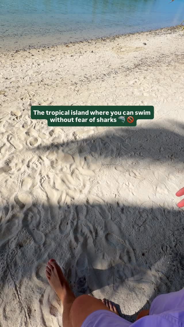 Cook Islands: Underrated Beach Paradise Guide