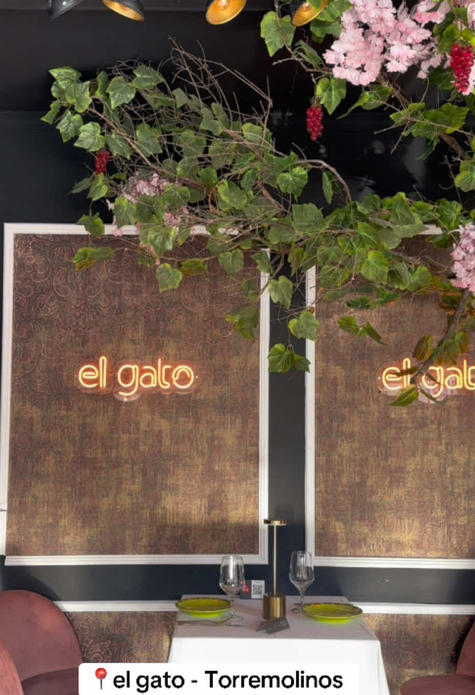 Must-Visit Restaurant El Gato Casablanca