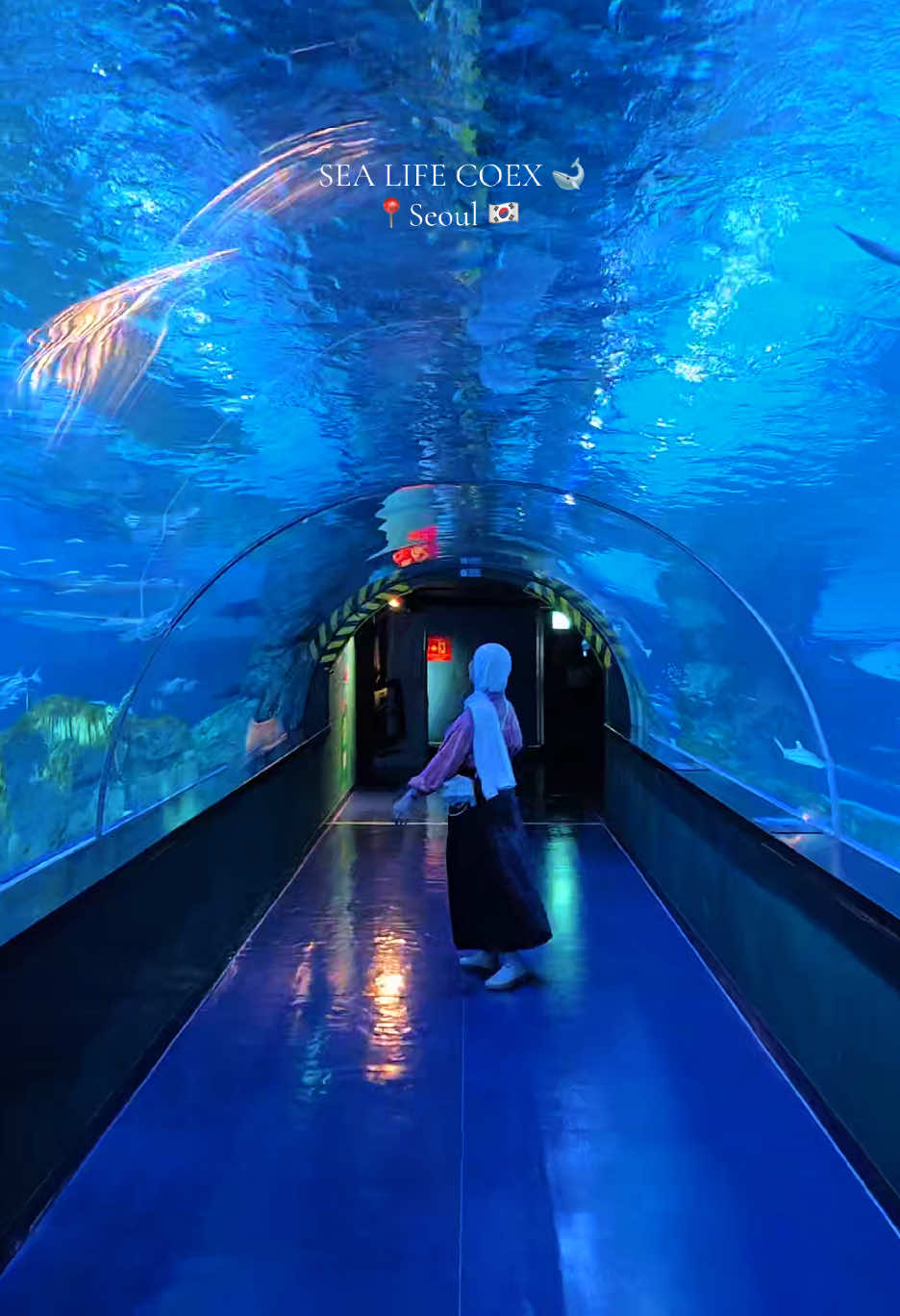 SEA LIFE Coex Aquarium Features Marine Life