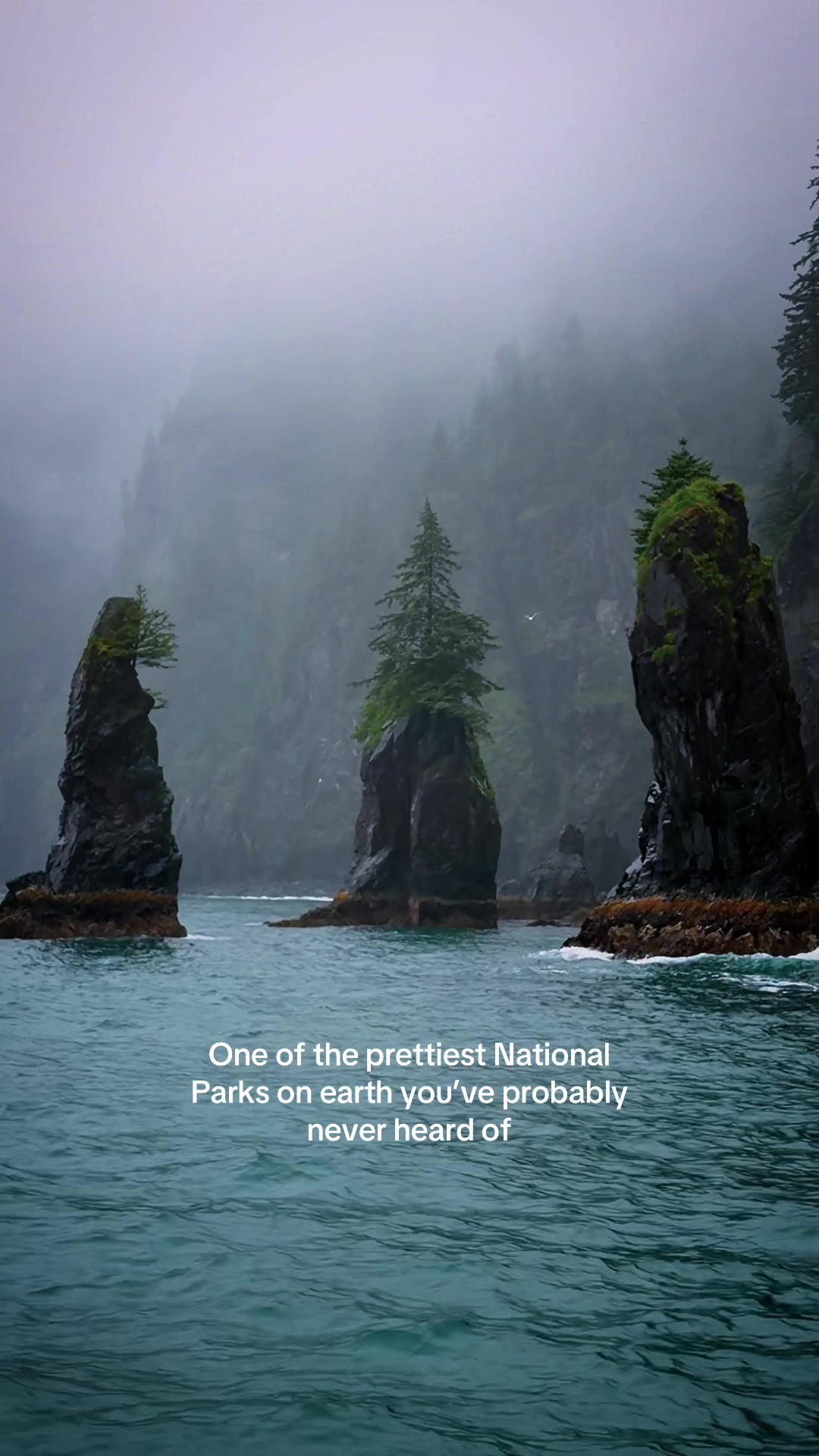 Kenai Fjords National Park: Nature's Majesty