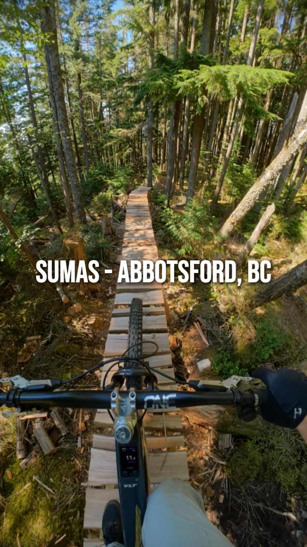 Sumas Mountain Bike Trail Video