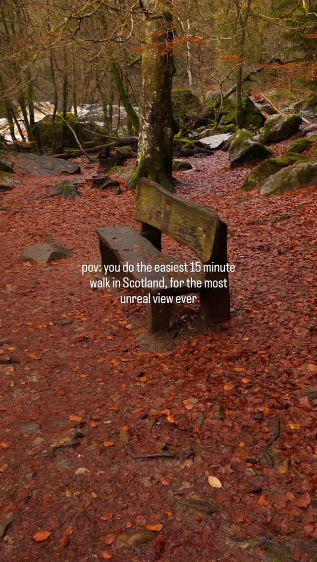 Scotland's Hermitage Waterfall In Autumn Splendor