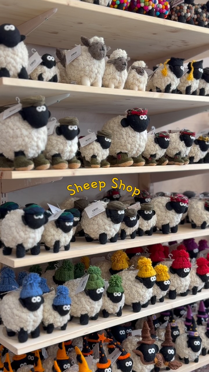 Edinburgh Sheep Shop Offers Unique Merchandise
