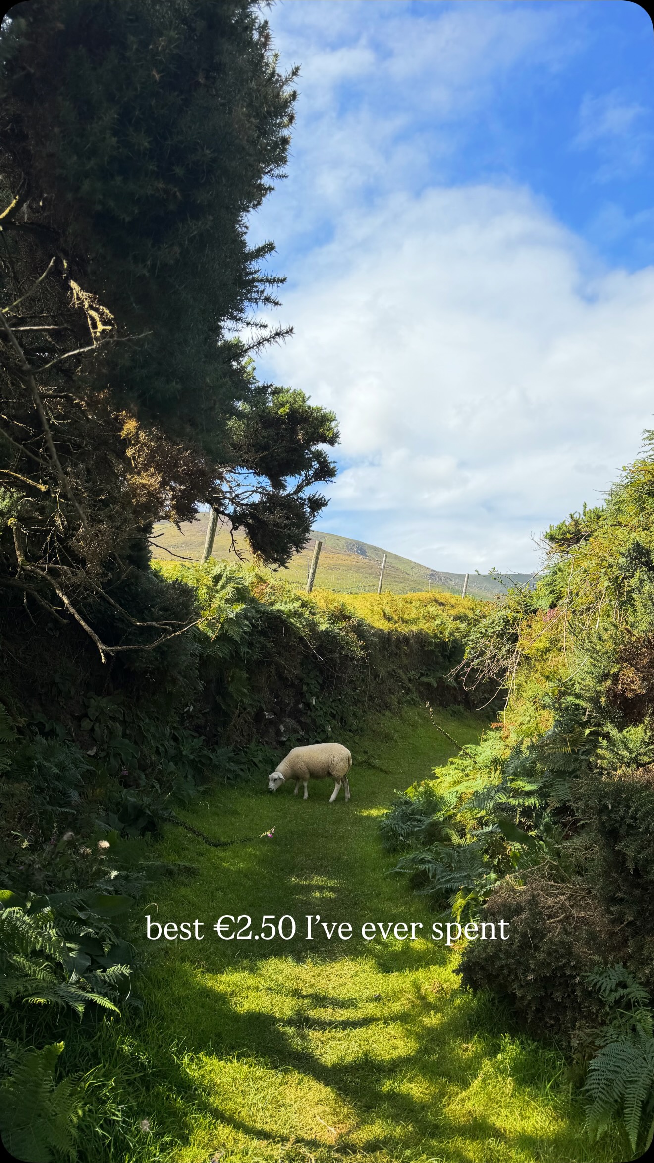Ancient Ringfort and Stone Circle Sites