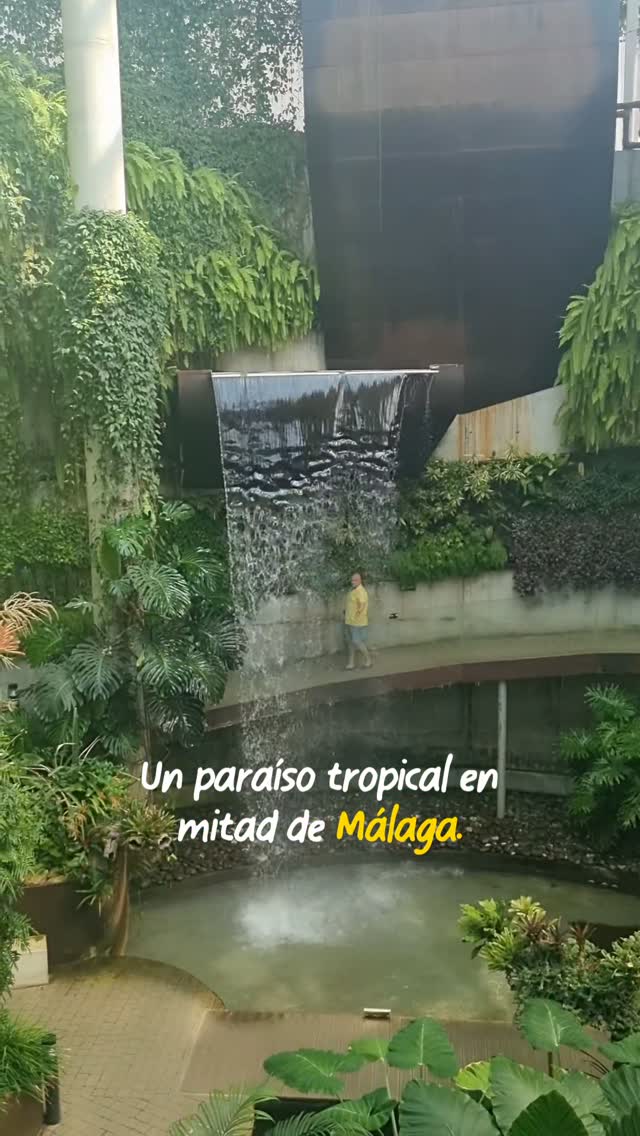 Estepona Orchidarium: Spain's Largest Orchid Paradise