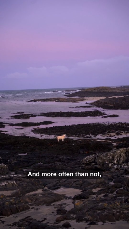Glencoe And Corran Ferry's Wild Scottish Charm