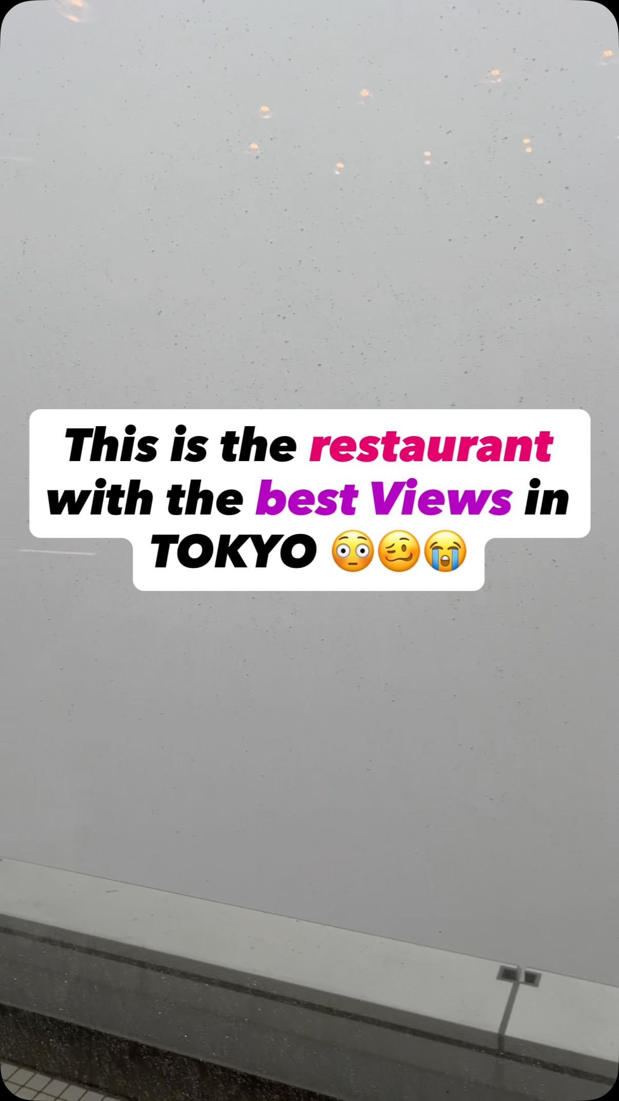 Tokyo's teamLab Planets and New York Grill