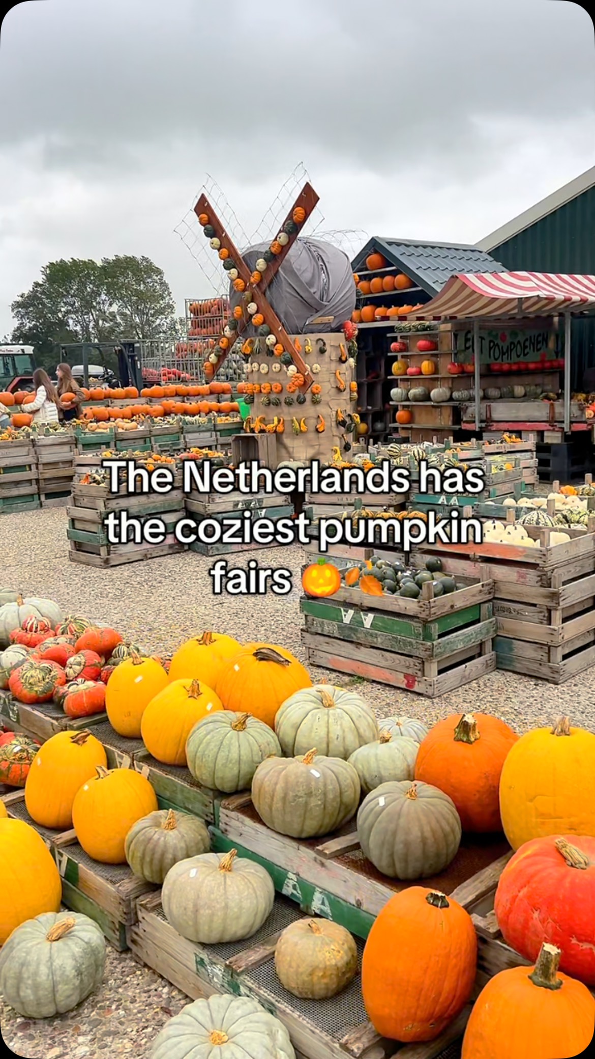 Pumpkin Fairs Showcase Local Delights and Autumnal Charm
