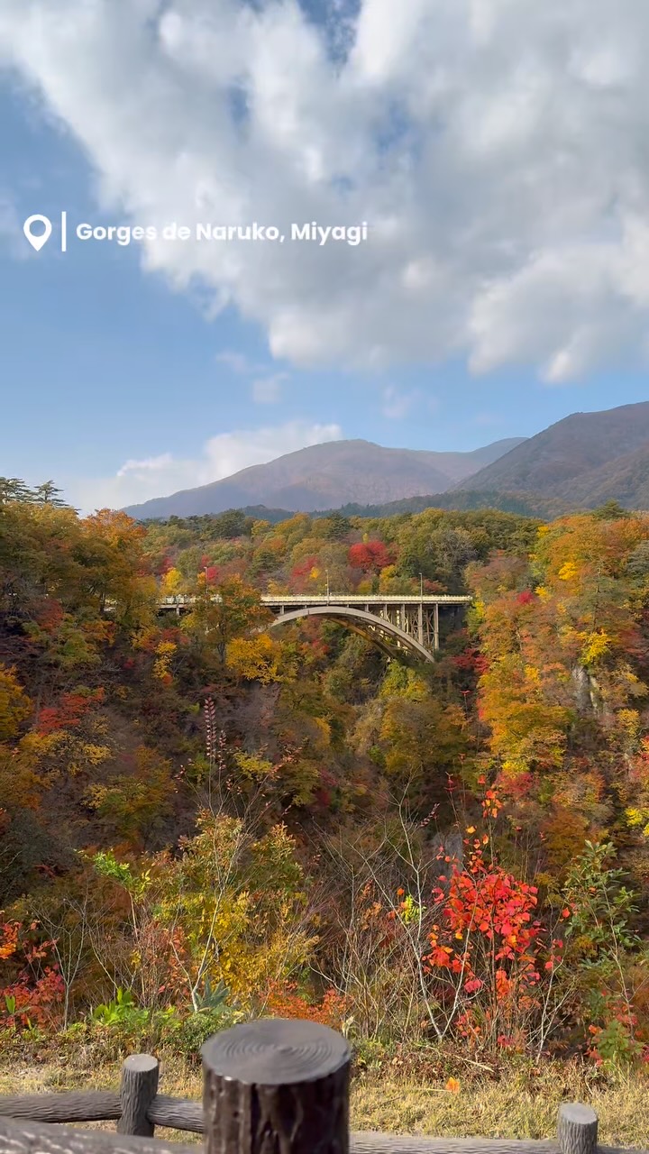 Discover Japan's Underrated Traditional Villages and Scenery