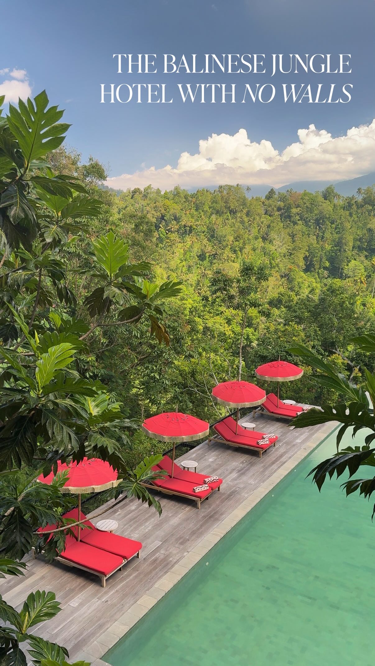 Open-Air Villas Offer Immersive Jungle Experience