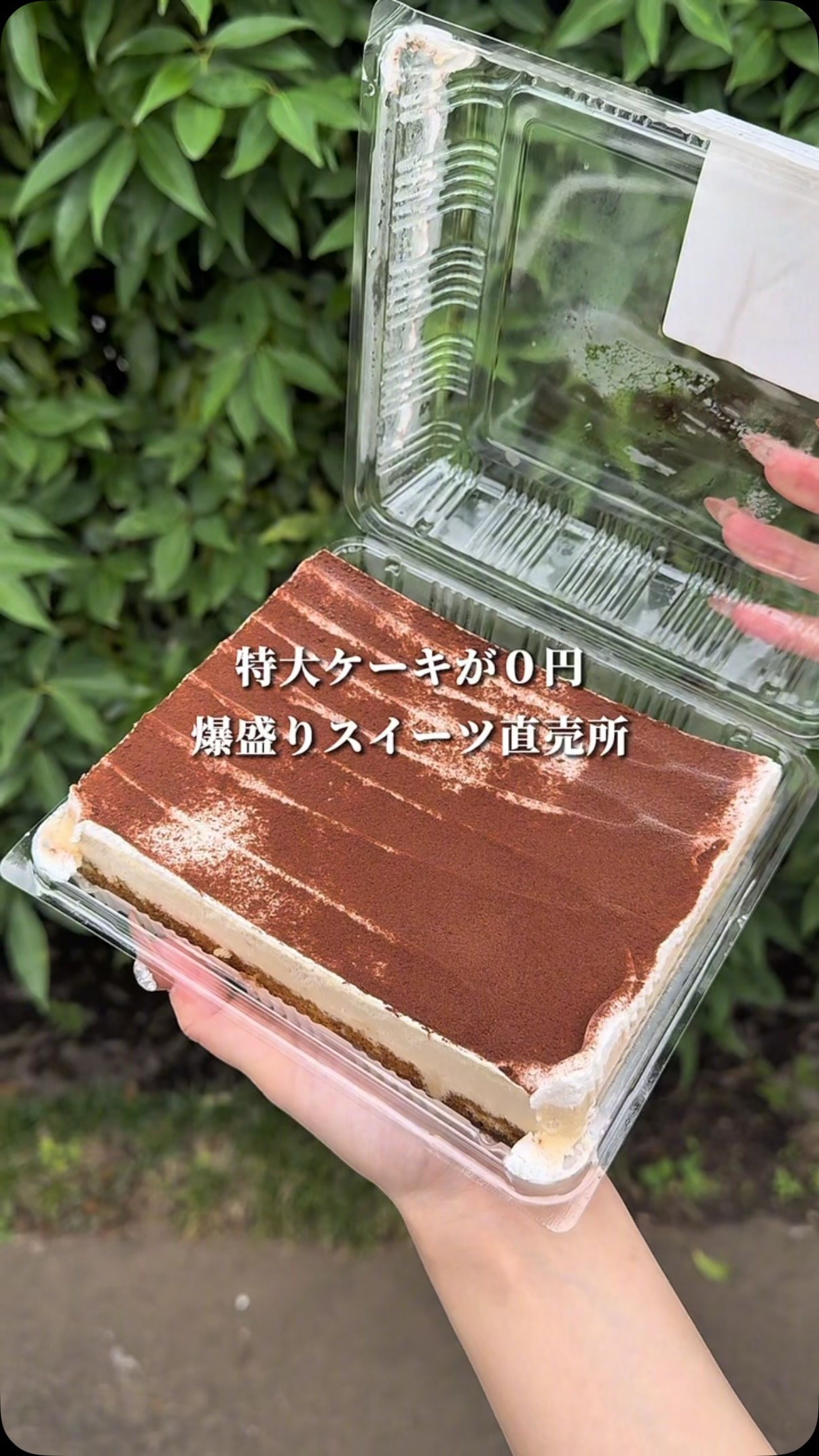 Koguma Dessert Shop Sells Affordable Cakes