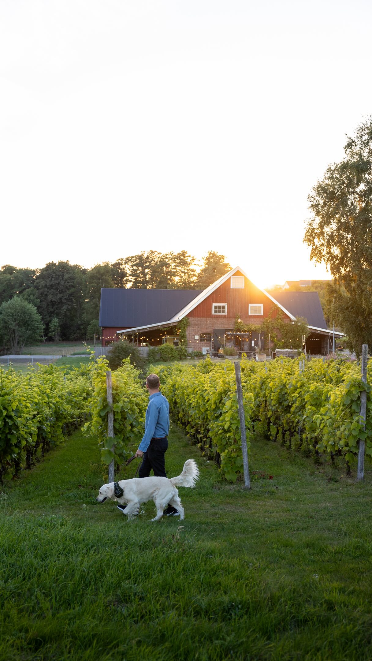 Dog-Friendly Gem Skrea Matbruk In Falkenberg