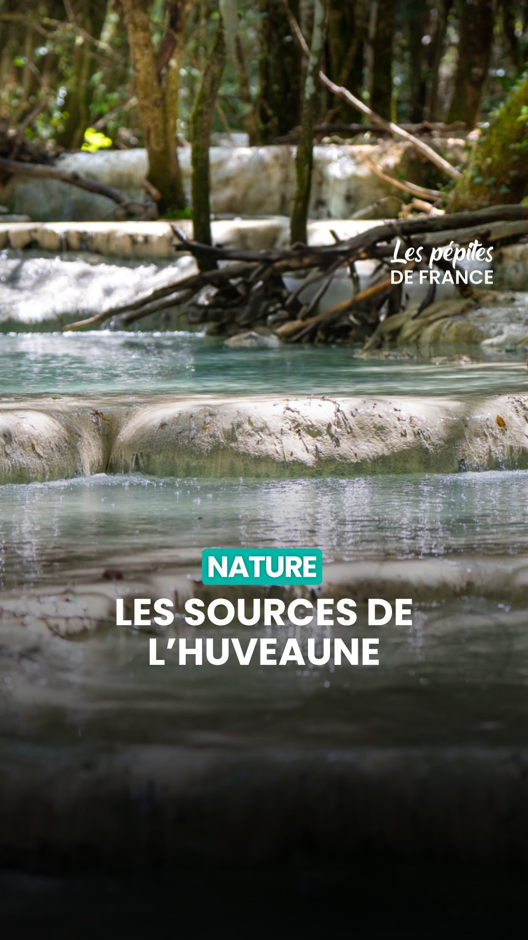 Trek to Sainte-Baume and Huveaune Springs