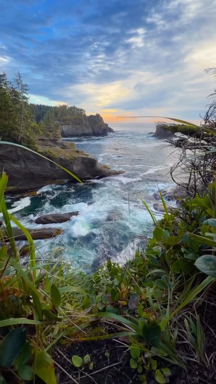 Coastal Rainforest Trail to Pacific Ocean Views
