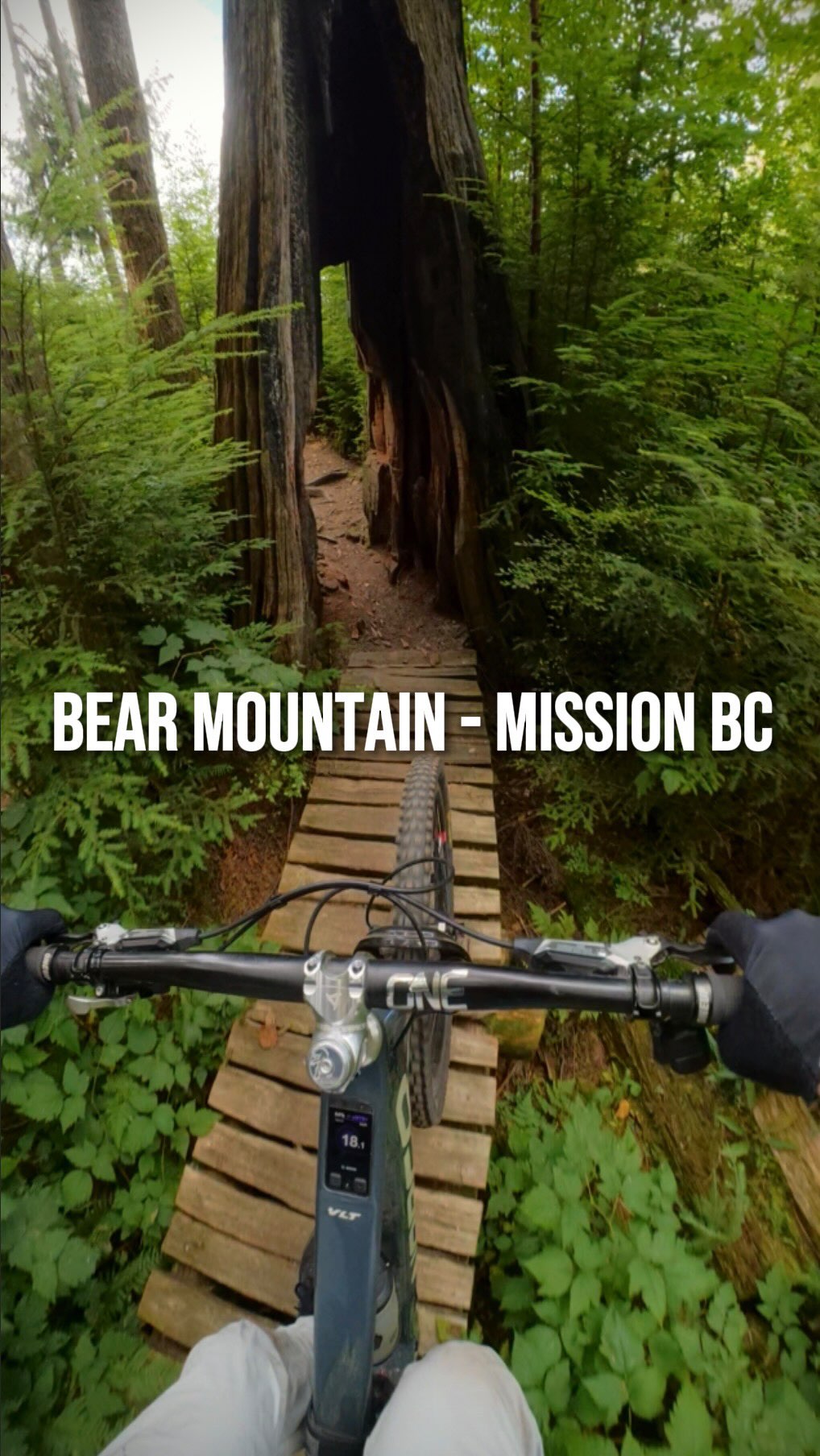 Mountain Biking Trails At Bear Mountain Park