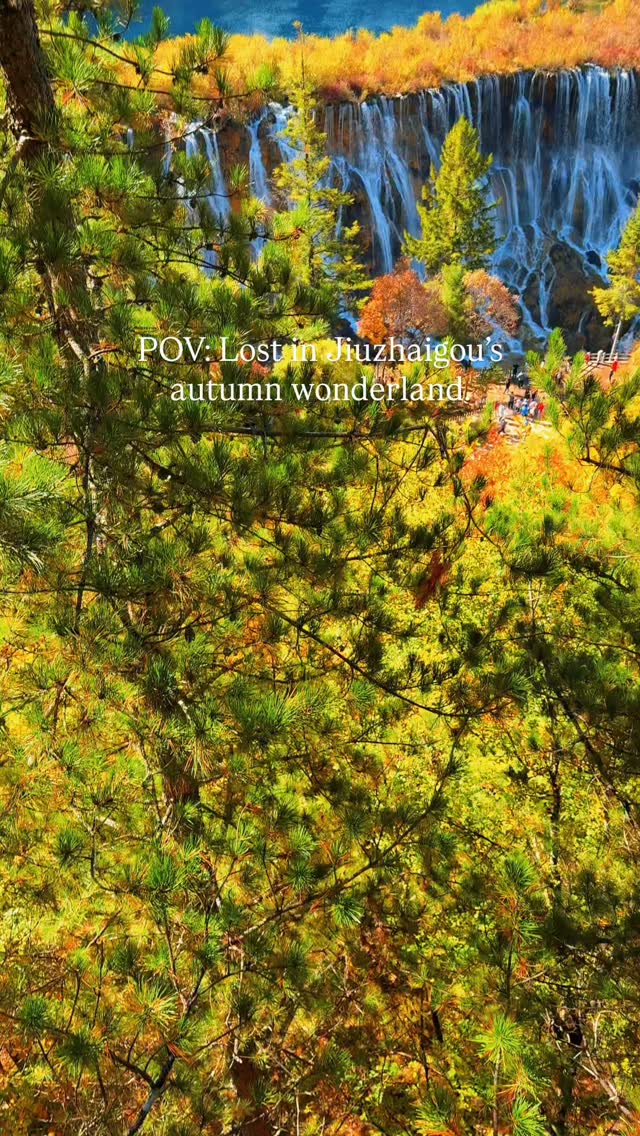 Jiuzhaigou's Golden Autumn Valleys and Waterfalls