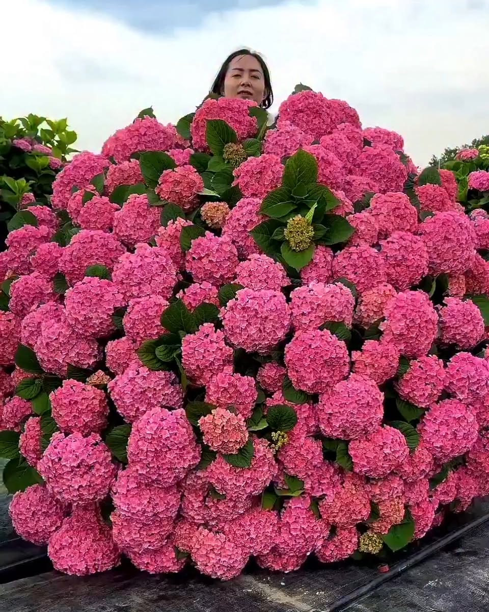 Eight Cities Known For Their Unique Scents