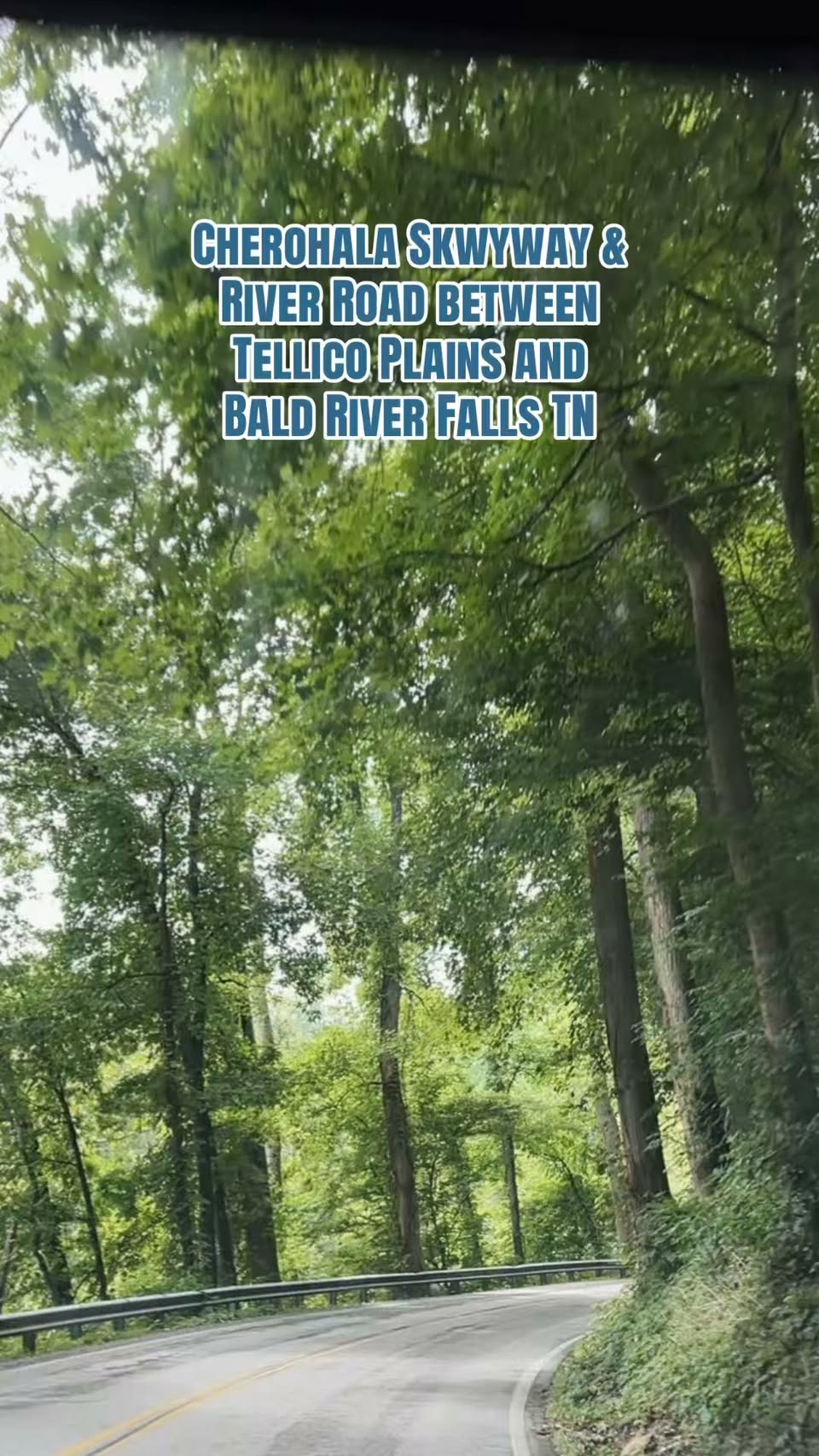 Natural Wonders and Scenic Drives of the Cherokee Forest