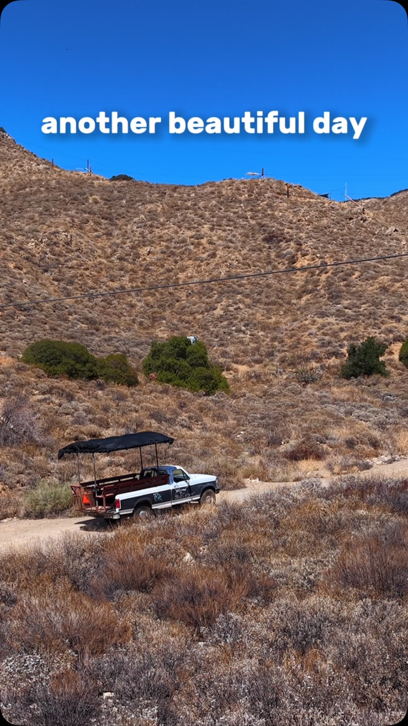 Zip-Lining And Adventure Park Activities