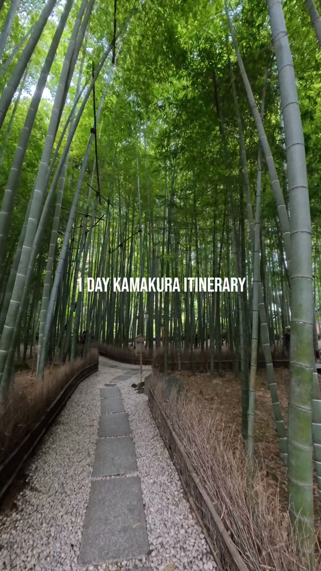 Kamakura's Temples, Shrines, and Bamboo Forest
