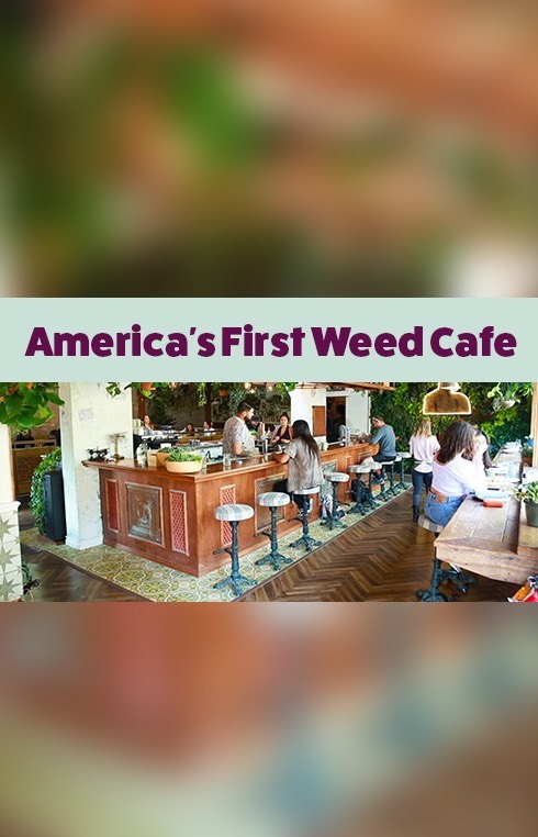 First U.S. Weed Cafe Offers Dining and Flower Hosts