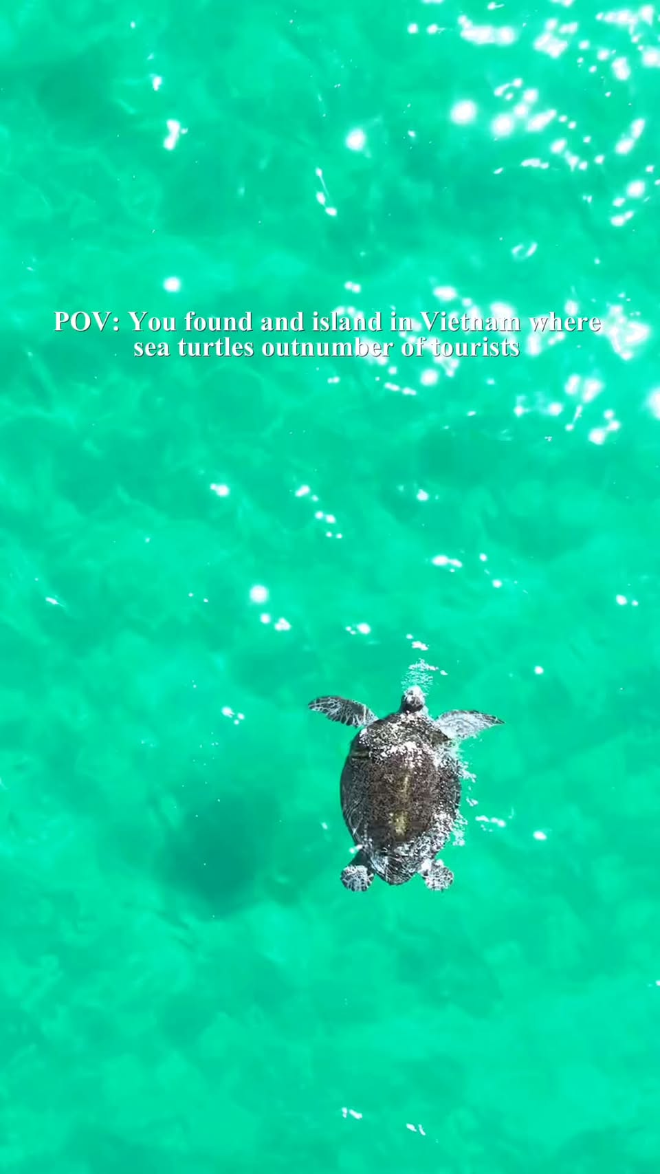 Con Dao: Pristine Beaches & Rare Turtle Nesting Sites