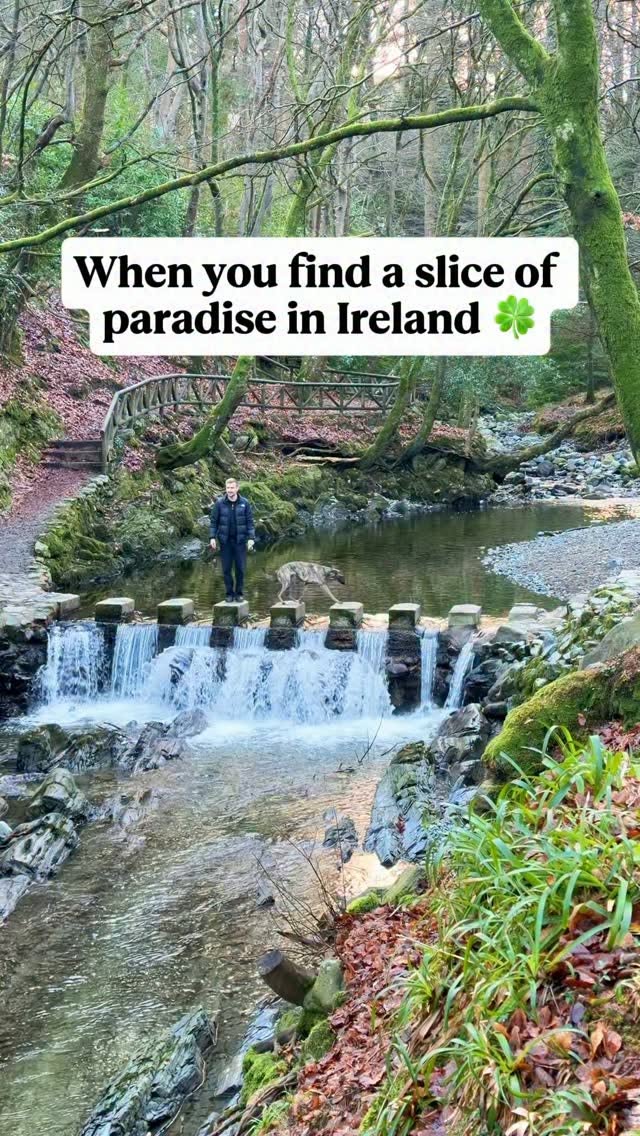 Tollymore Forest Park: A Magical Irish Woodland