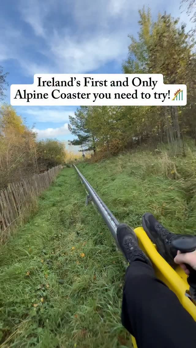 Colin Glen Forest Park Offers Ireland's Only Alpine Coaster