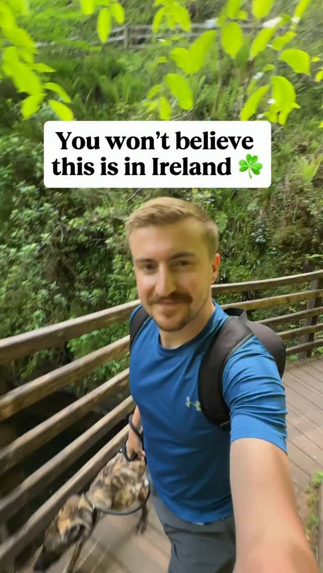 Glenariff Forest's Waterfall Walk Transports Visitors