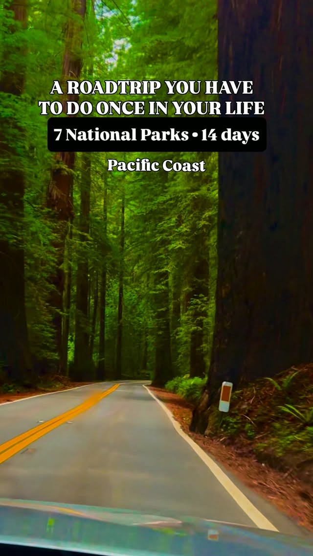 Western National Parks Road Trip: California to Washington