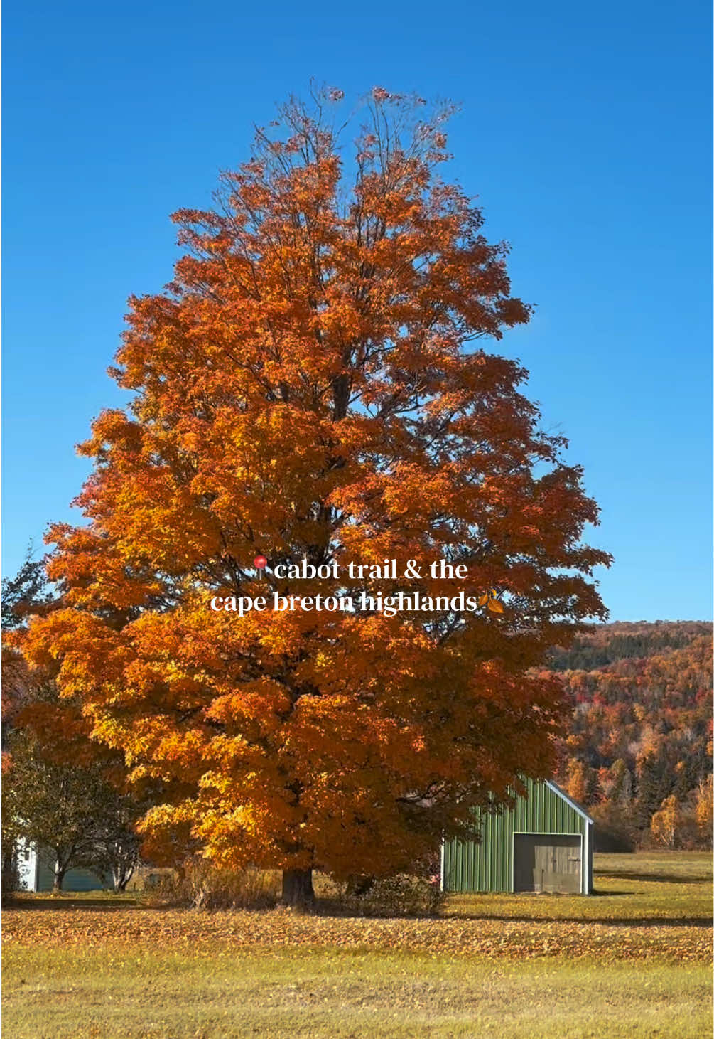 Cape Breton Highlands Fall Road Trip Beauty
