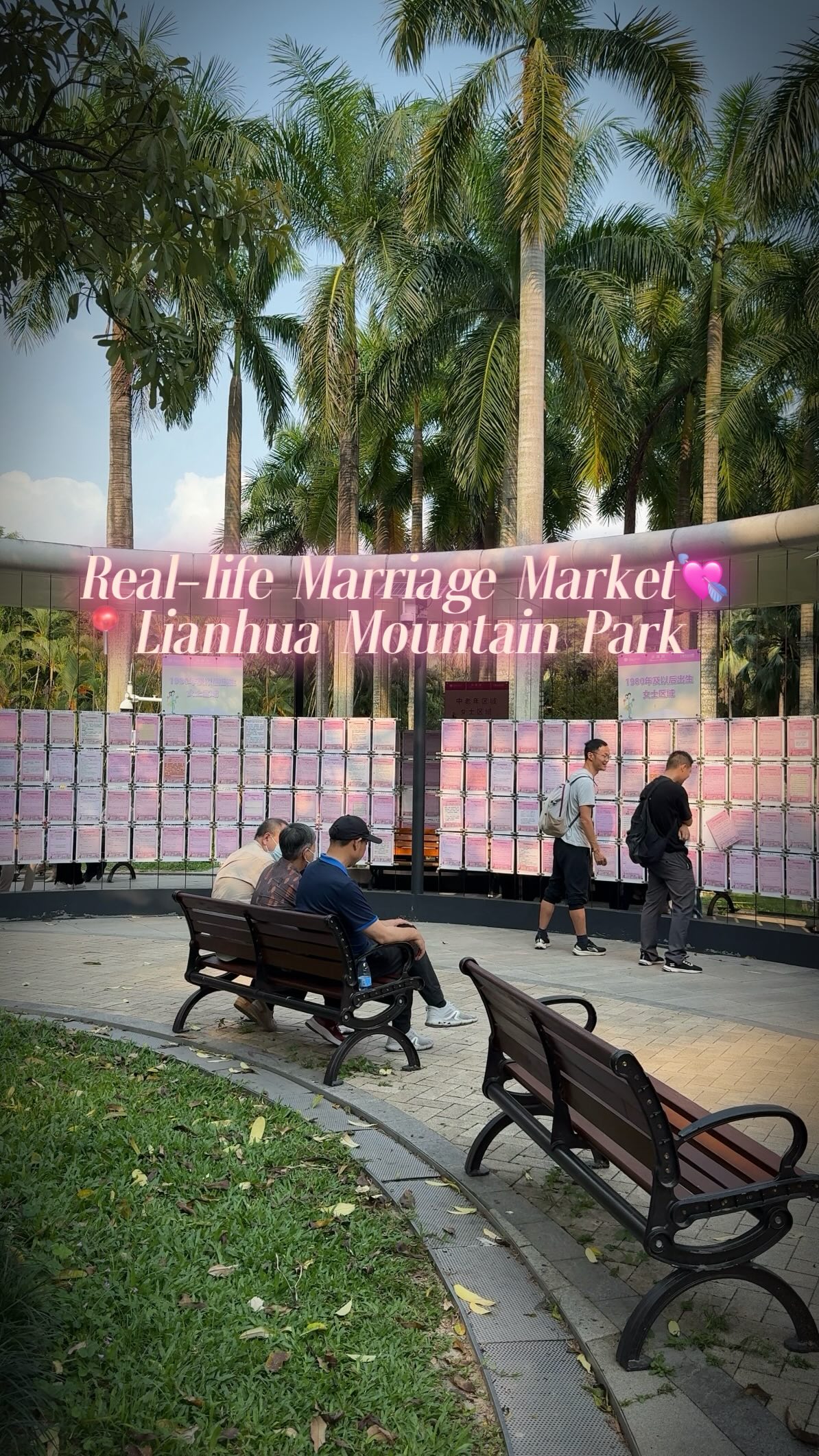 Shenzhen Marriage Market: A Unique Matchmaking Experience